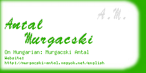 antal murgacski business card